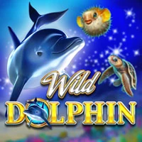 Wild Dolphin